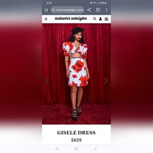 GISELE DRESS Nwt size 10